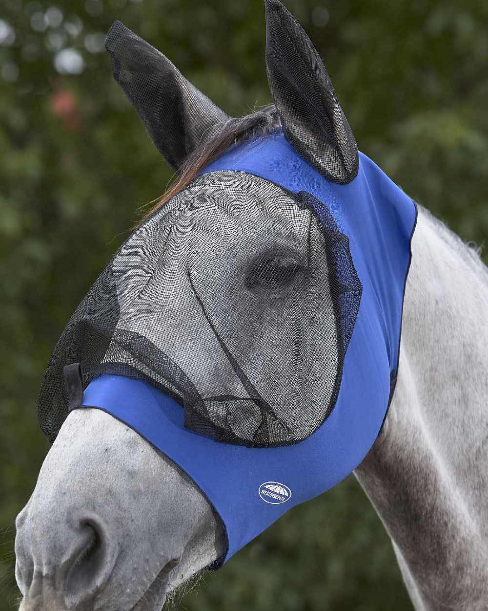 Royal Blue Black coloured WeatherBeeta Deluxe Stretch Eye Saver with Ears on white background 