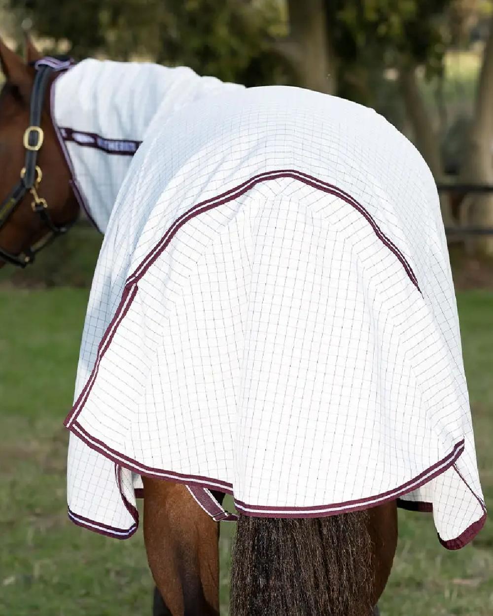 White maroon coloured WeatherBeeta Hybrid Seasons Combo Neck on blurry field background 