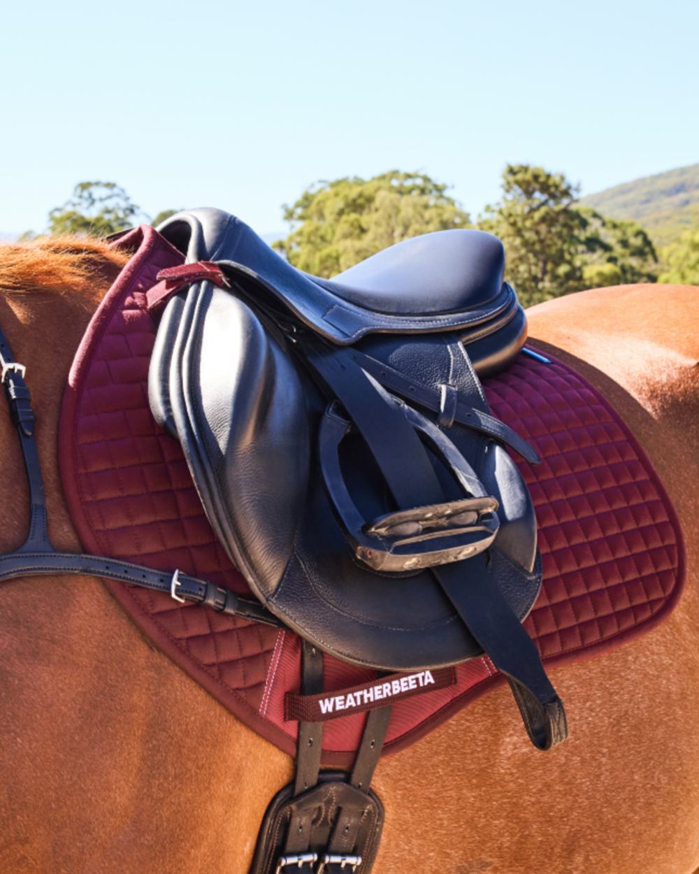 Burgundy Coloured WeatherBeeta Prime Air-Tec Jump Shaped Saddle Pad on horse background 