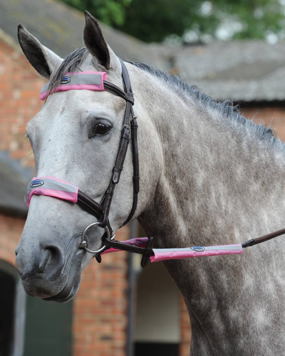 Pink coloured WeatherBeeta Reflective Bridle Kit 4 Pieces on blurry background 