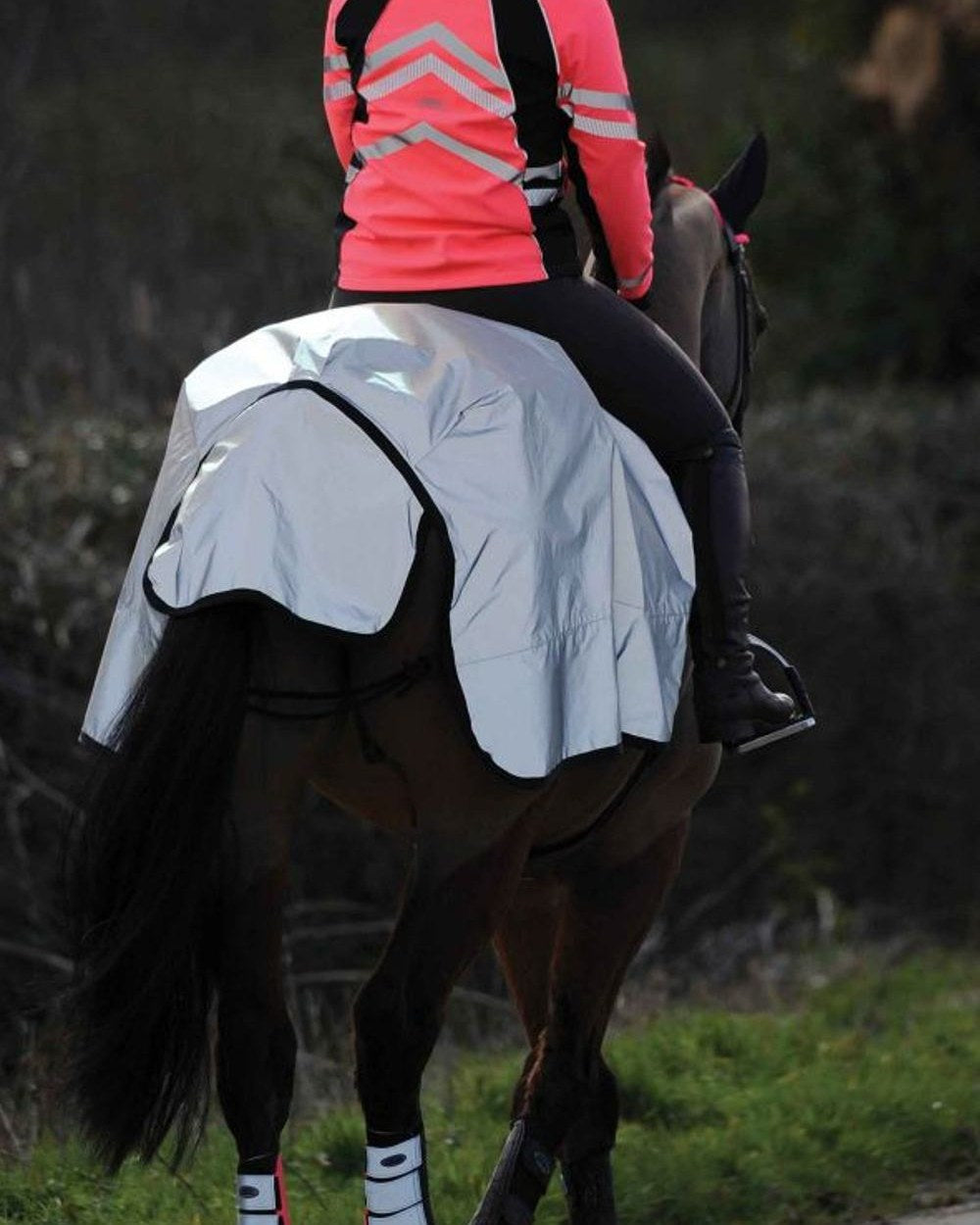 Silver Black coloured WeatherBeeta Reflective Wrap-Around Exercise Sheet on path background 