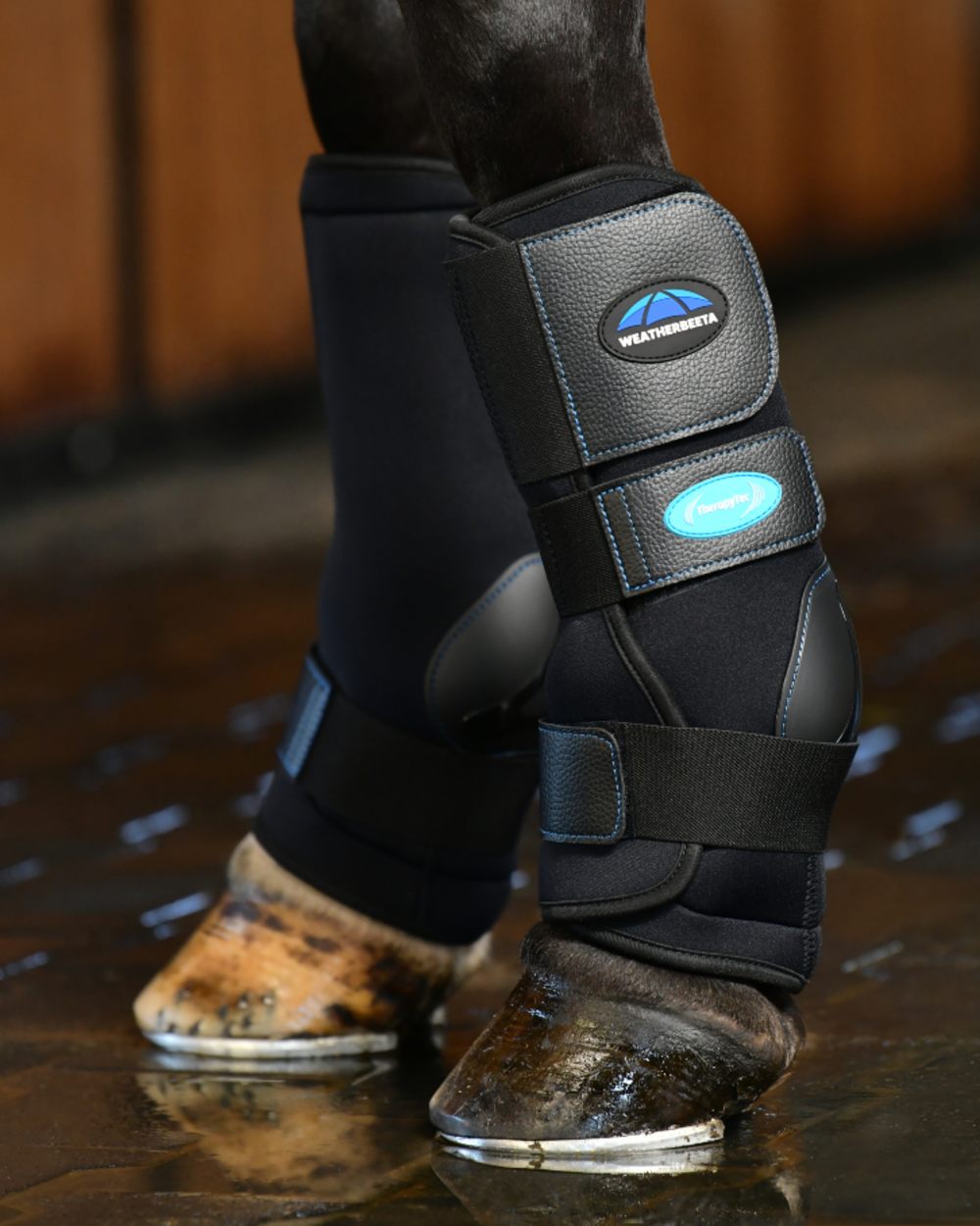 Black Coloured WeatherBeeta Therapy-Tec II Ultra Cool Ice Boots on horse background 