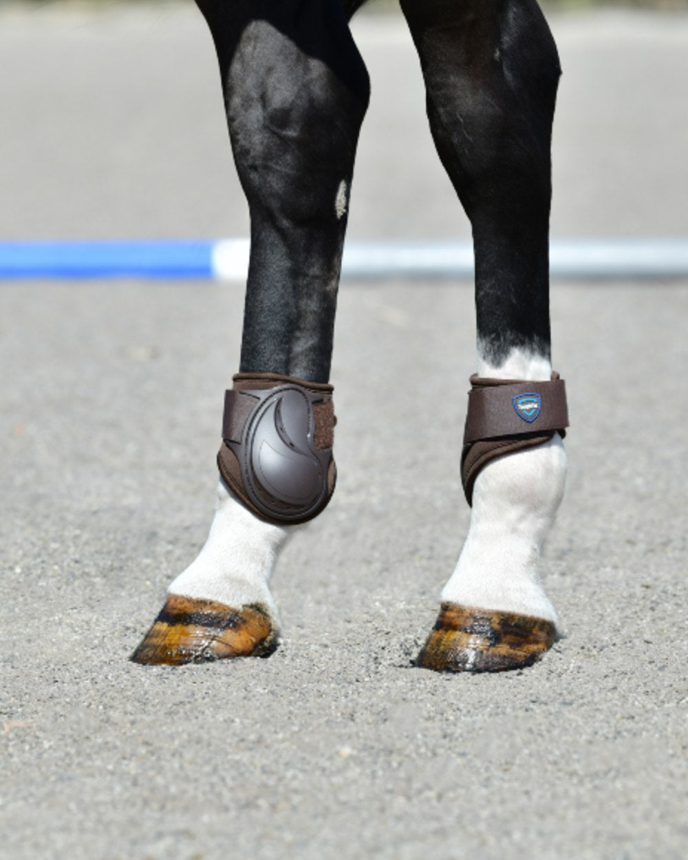 Brown Coloured WeatherBeeta Tough-Tec Essential Fetlock Boots on horse background 