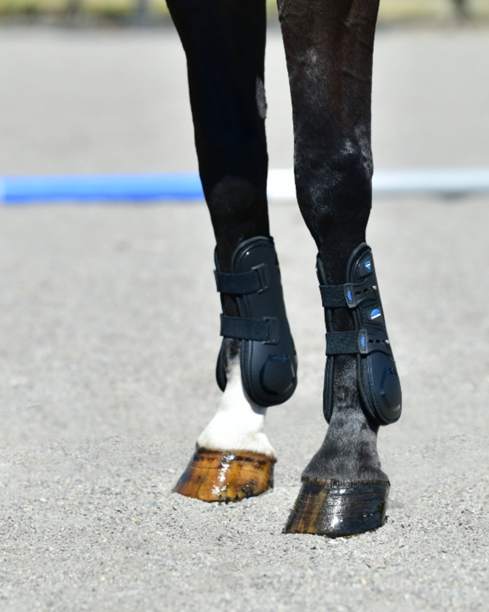 Black Coloured WeatherBeeta Tough-Tec Essential Open Front Boots on horse background 
