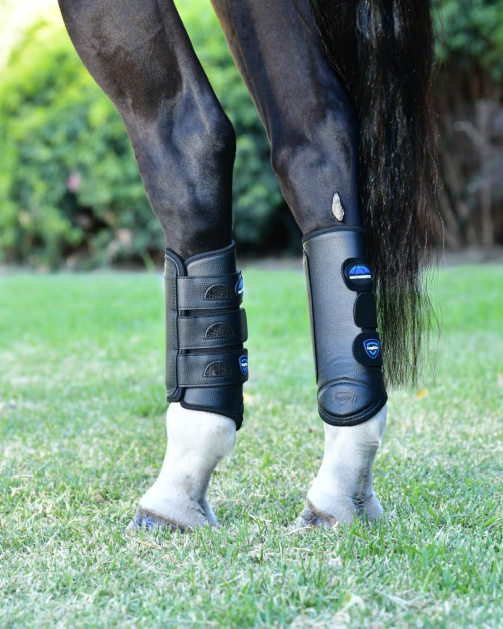 Black Coloured WeatherBeeta Tough-Tec Eventing Hind Boots on horse background 