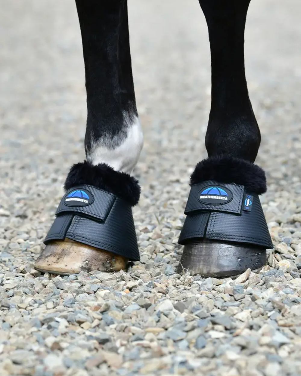 Black Coloured WeatherBeeta Tough-Tec Fleece Trim Bell Boots on horse background 