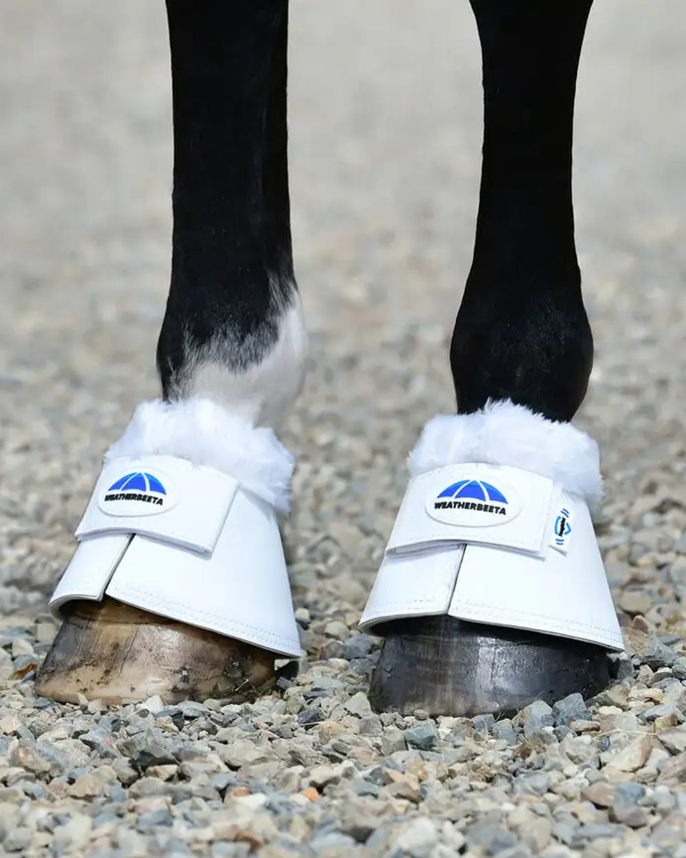 White Coloured WeatherBeeta Tough-Tec Fleece Trim Bell Boots on horse background 