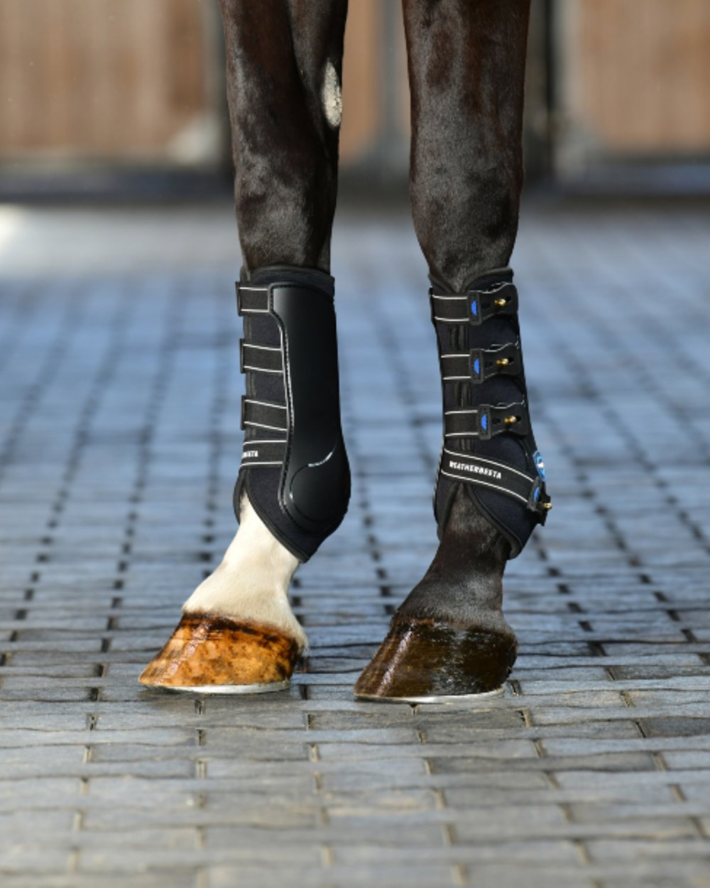 Black Coloured WeatherBeeta Tough-Tec Hard Shell Dressage Boots on horse background 