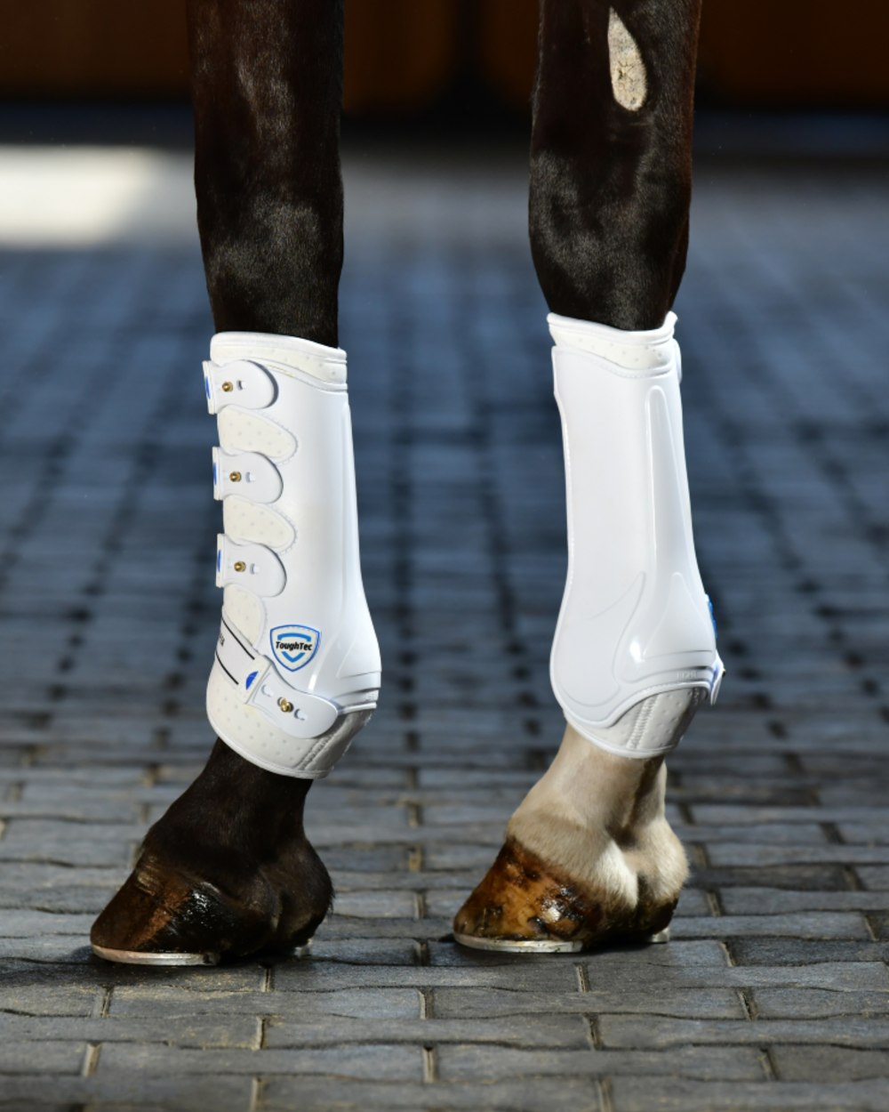 White Coloured WeatherBeeta Tough-Tec Hard Shell Dressage Boots on horse background 