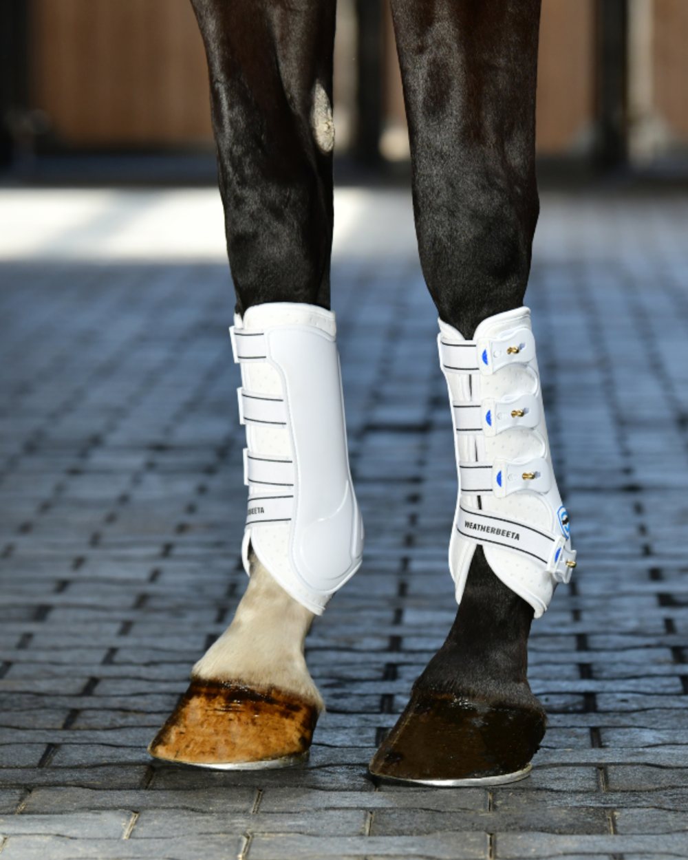 White Coloured WeatherBeeta Tough-Tec Hard Shell Dressage Boots on horse background 