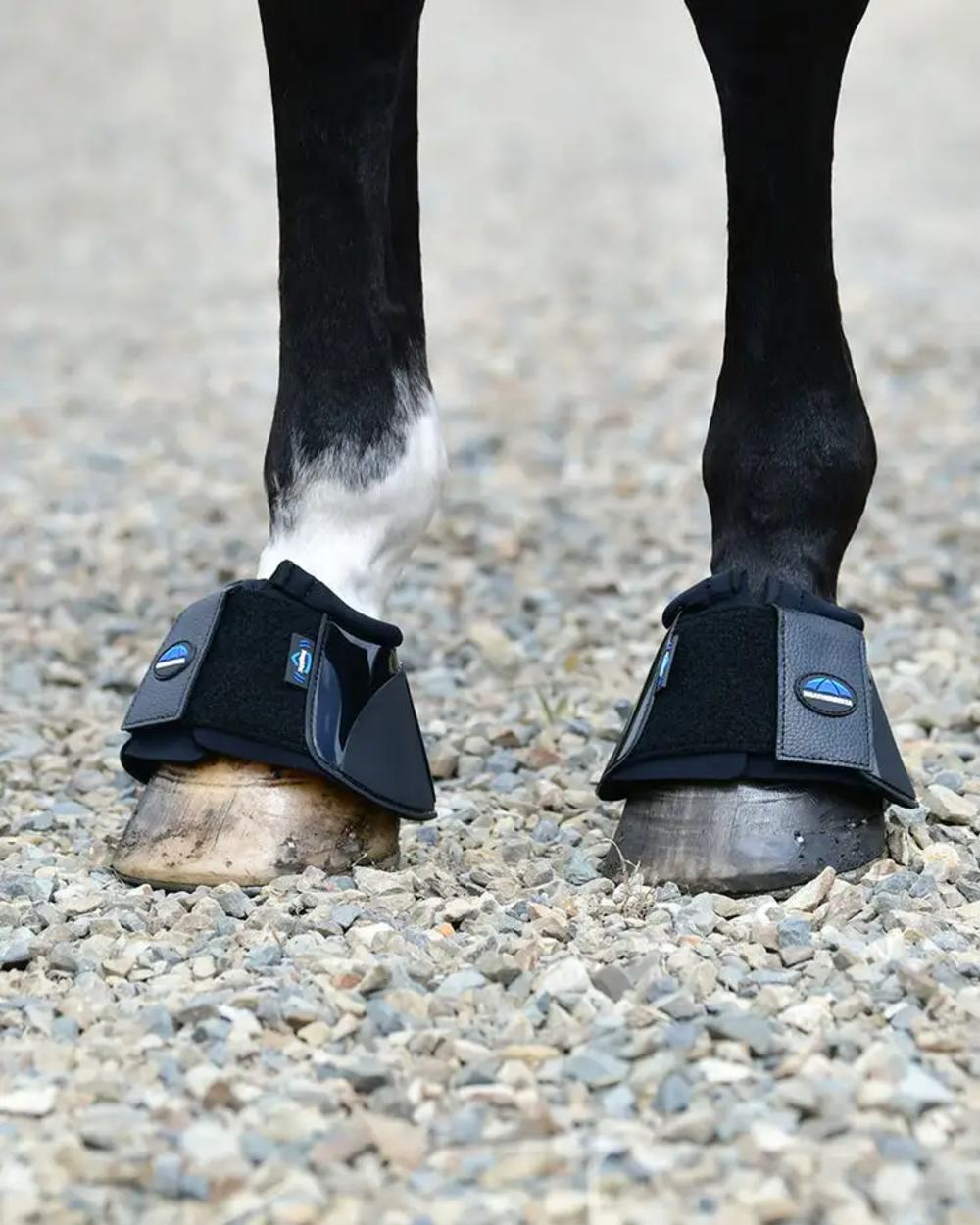 Black Coloured WeatherBeeta Tough-Tec Impact Bell Boots on horse background 