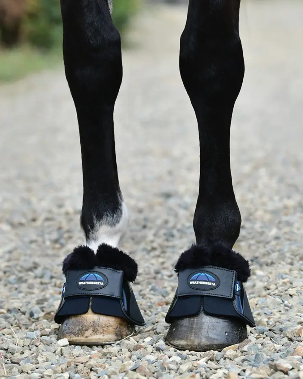 Black Coloured WeatherBeeta Tough-Tec Impact Fleece Trim Bell Boots on horse background 