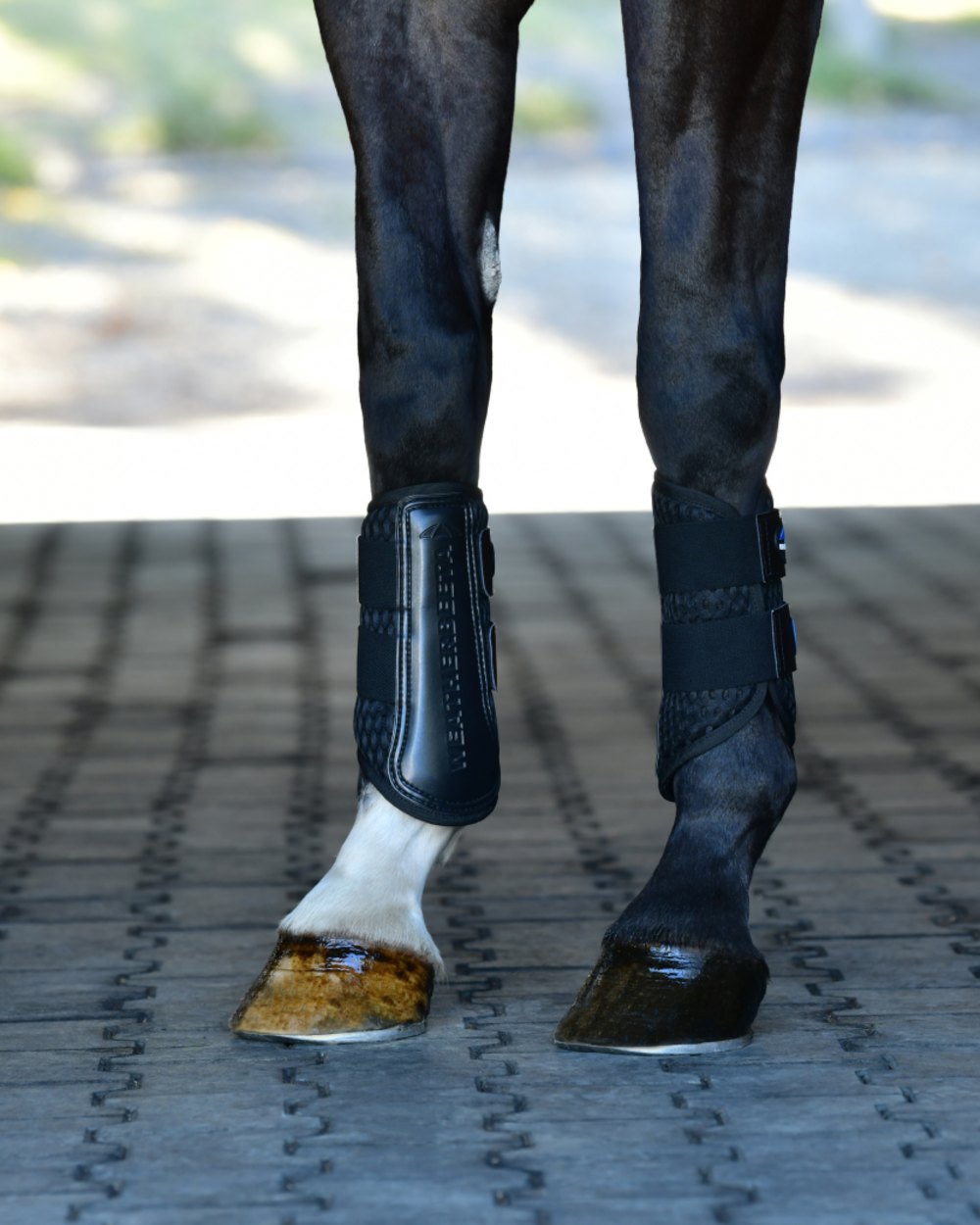 Black Coloured WeatherBeeta Tough-Tec Mesh Brushing Boots on horse background 