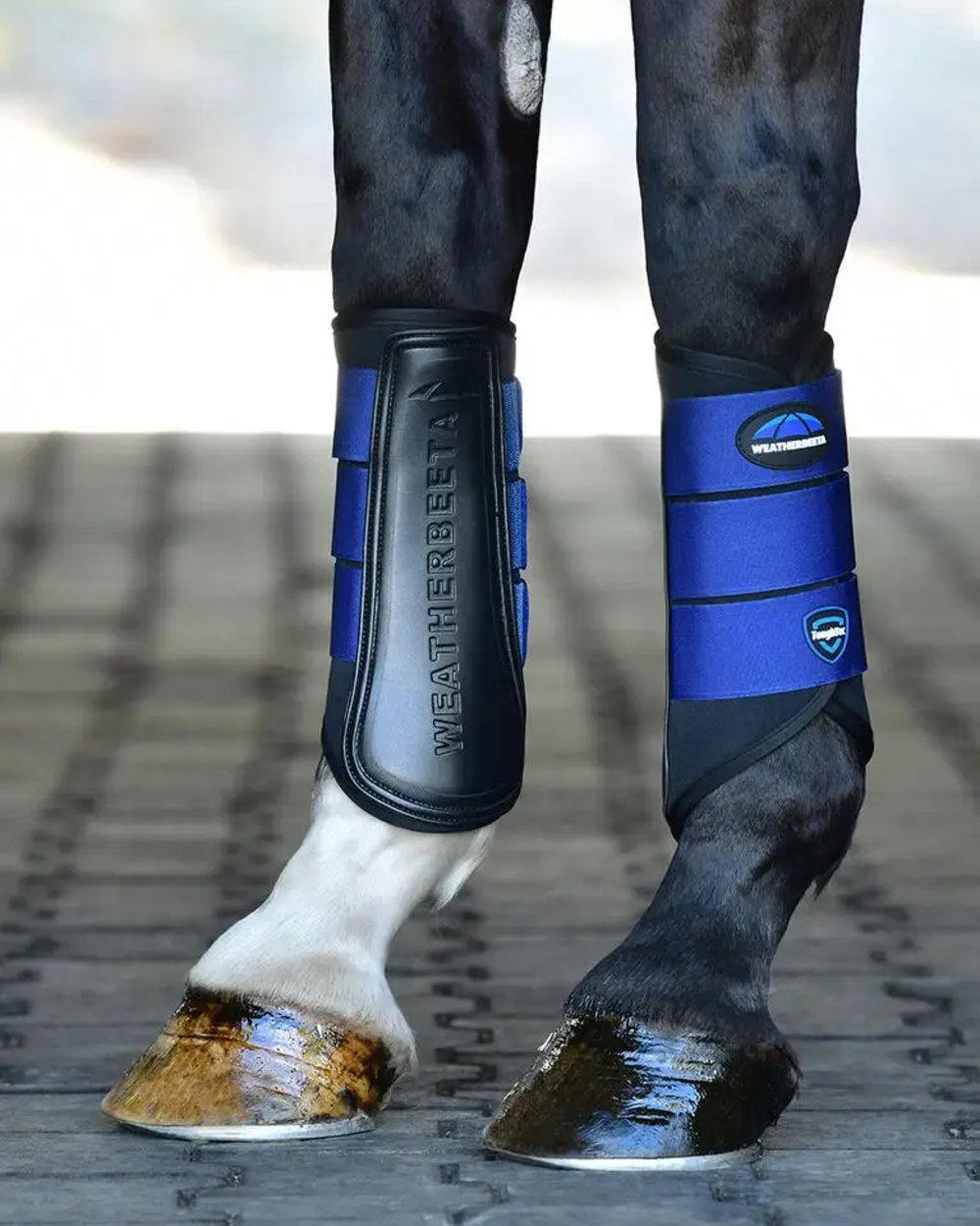 Black Cobalt Coloured WeatherBeeta Tough-Tec Prime Brushing Boots on horse background 