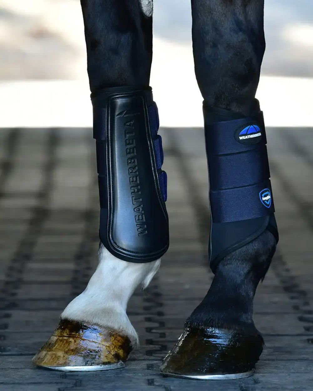 Black Navy Coloured WeatherBeeta Tough-Tec Prime Brushing Boots on horse background 