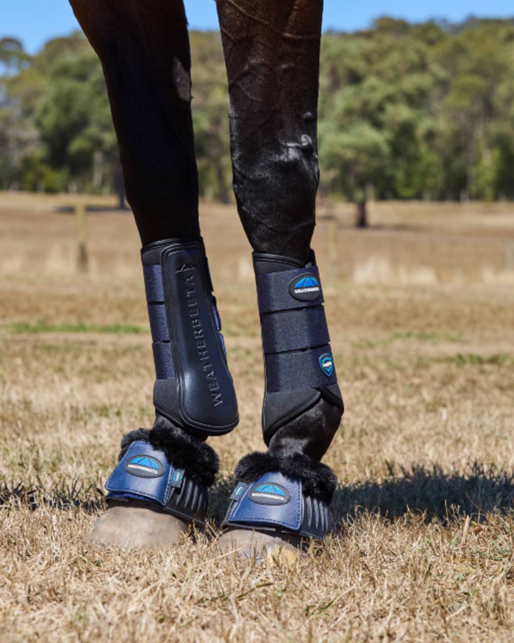 Black Coloured WeatherBeeta Tough-Tec Prime Brushing Boots on horse background 