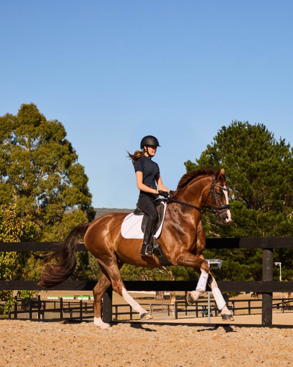 White Coloured WeatherBeeta Tough-Tec Prime Brushing Boots on horse background 