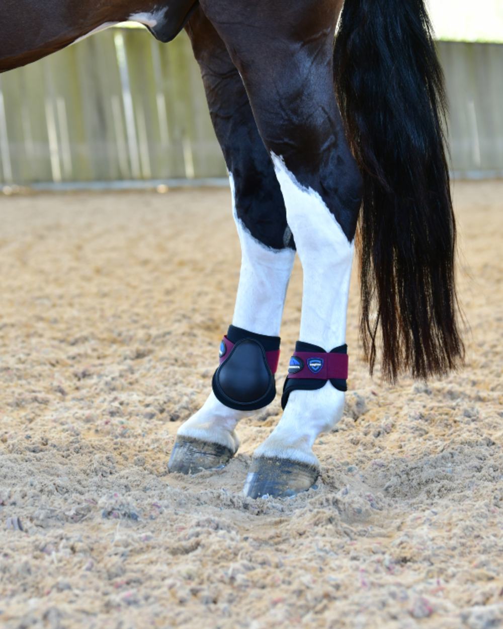 Black Burgundy Coloured WeatherBeeta Tough-Tec Prime Fetlock Boots on horse background 