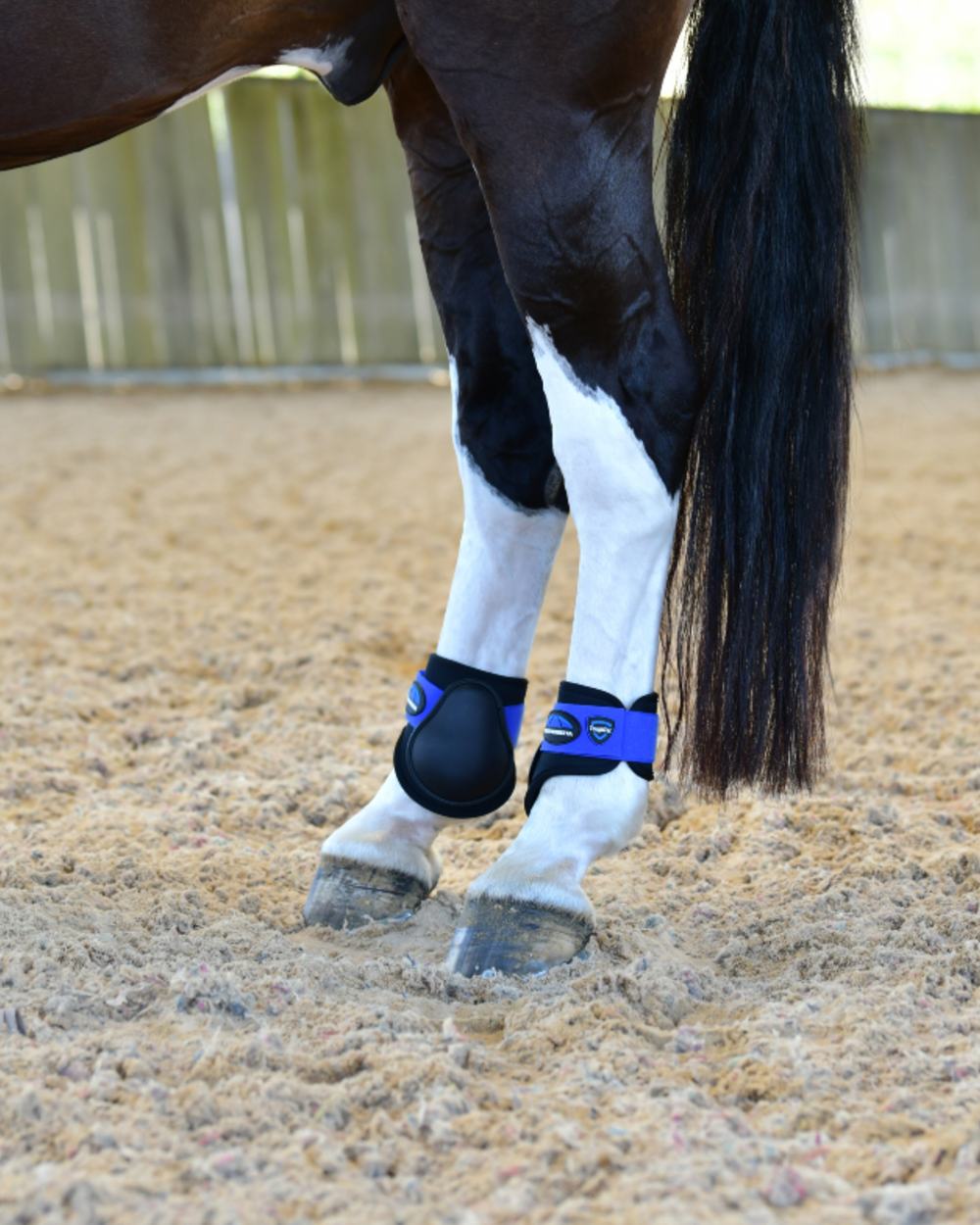 Black Cobalt Coloured WeatherBeeta Tough-Tec Prime Fetlock Boots on horse background 