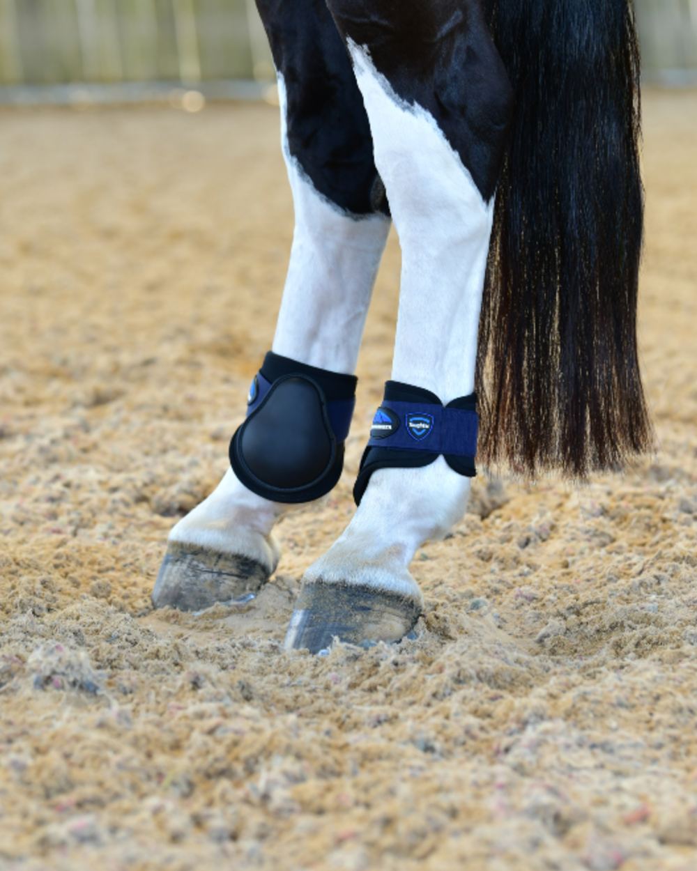 Black Navy Coloured WeatherBeeta Tough-Tec Prime Fetlock Boots on horse background 