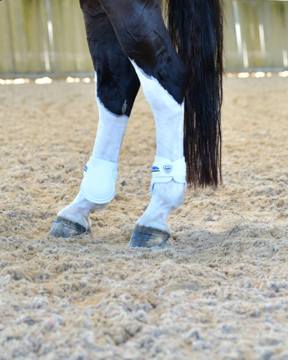 White Coloured WeatherBeeta Tough-Tec Prime Fetlock Boots on horse background 