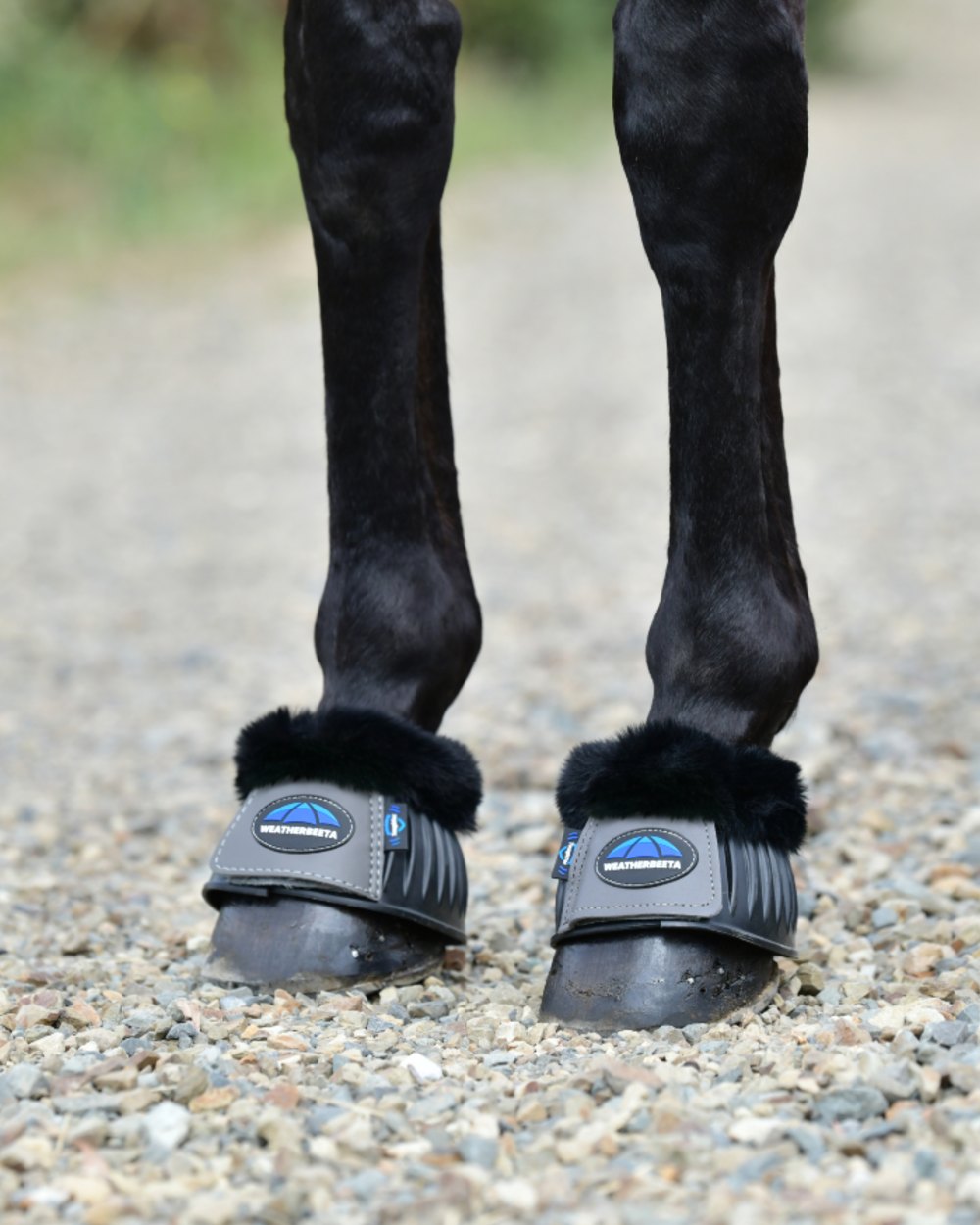 Black Grey Coloured WeatherBeeta Tough-Tec Prime Fleece Trim Rubber Bell Boots on horse background 