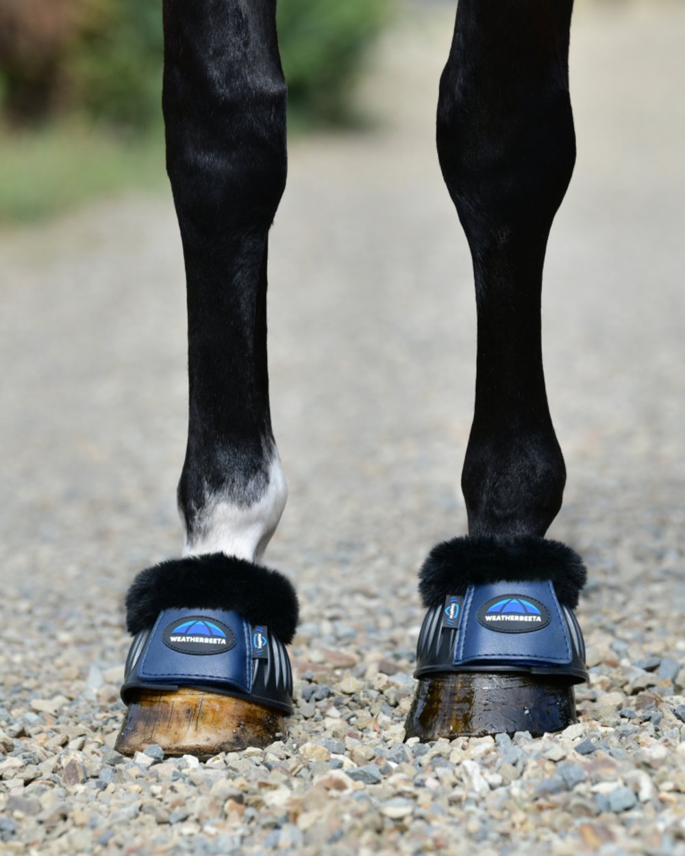Black Navy Coloured WeatherBeeta Tough-Tec Prime Fleece Trim Rubber Bell Boots on horse background 