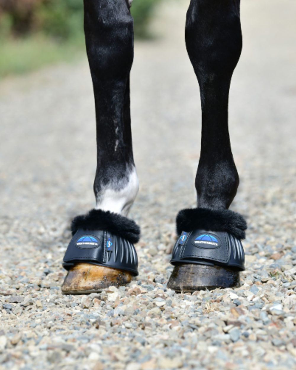 Black Coloured WeatherBeeta Tough-Tec Prime Fleece Trim Rubber Bell Boots on horse background 