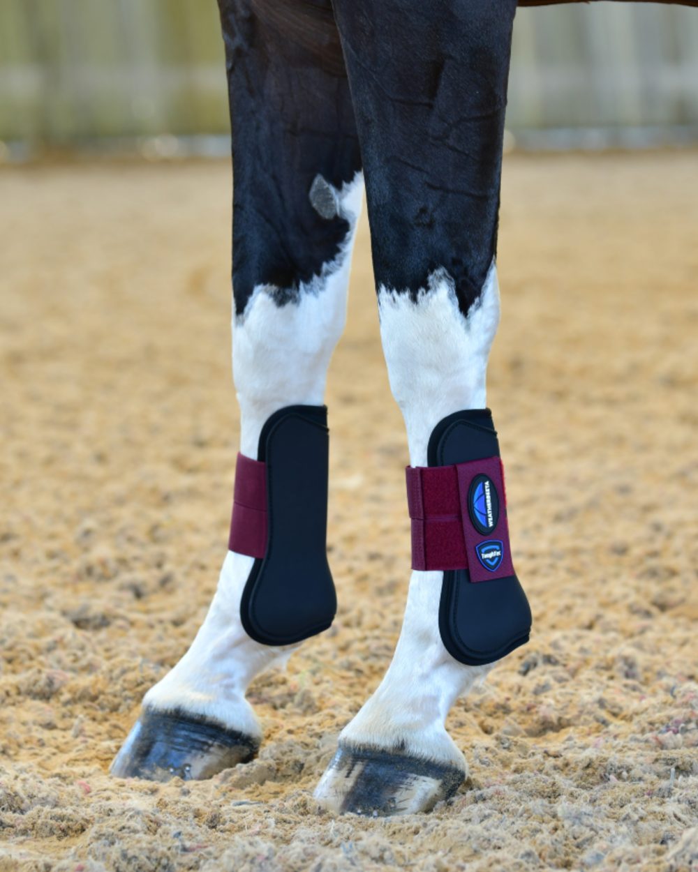 Black Burgundy Coloured WeatherBeeta Tough-Tec Prime Open Front Boots on horse background 