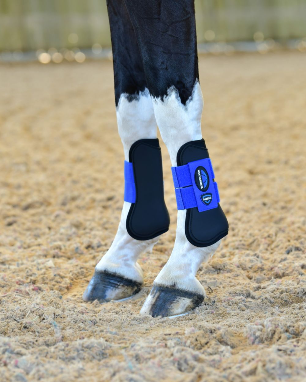 Black Cobalt Coloured WeatherBeeta Tough-Tec Prime Open Front Boots on horse background 