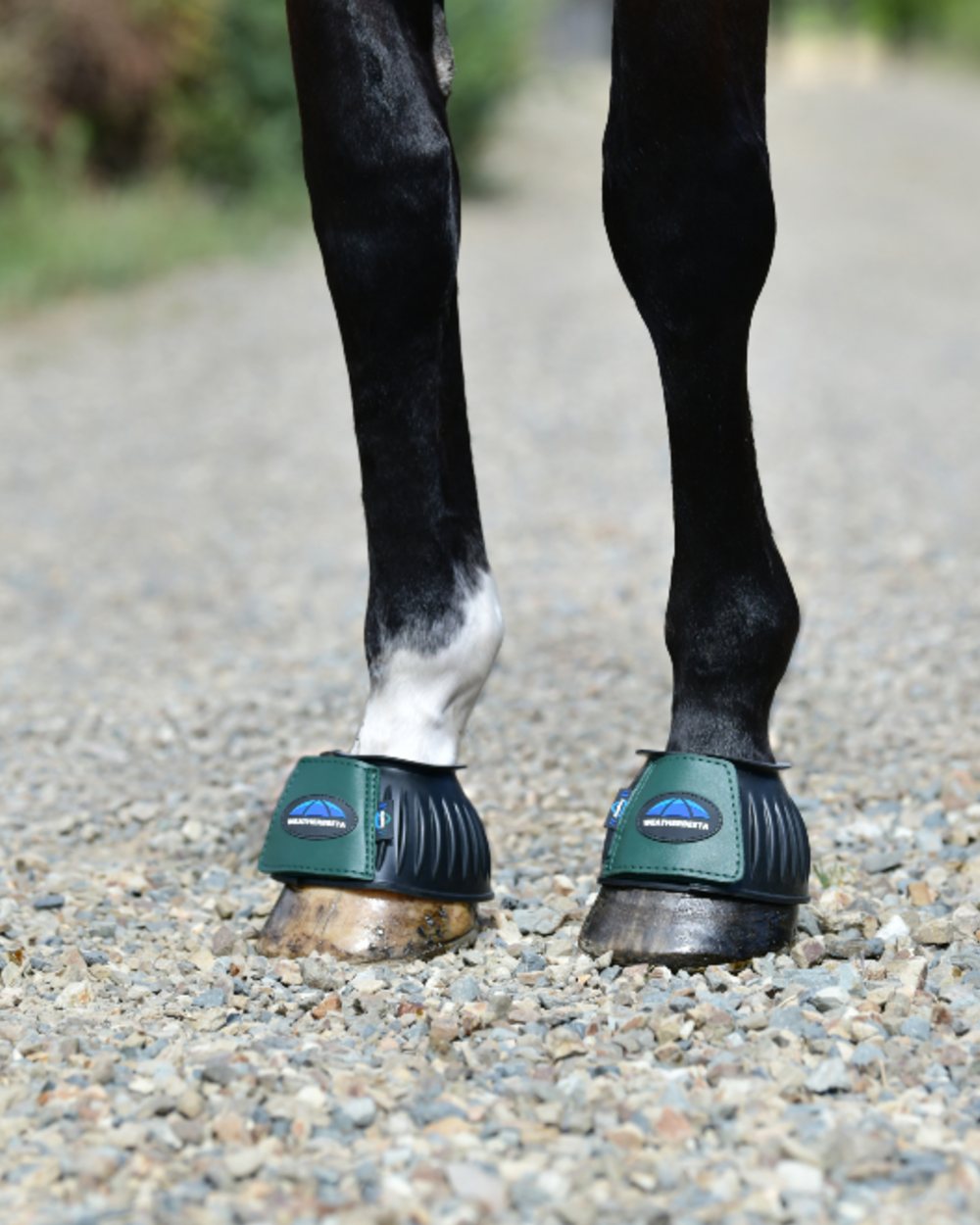 Black Forest Green Coloured WeatherBeeta Tough-Tec Prime Rubber Bell Boots on horse background 