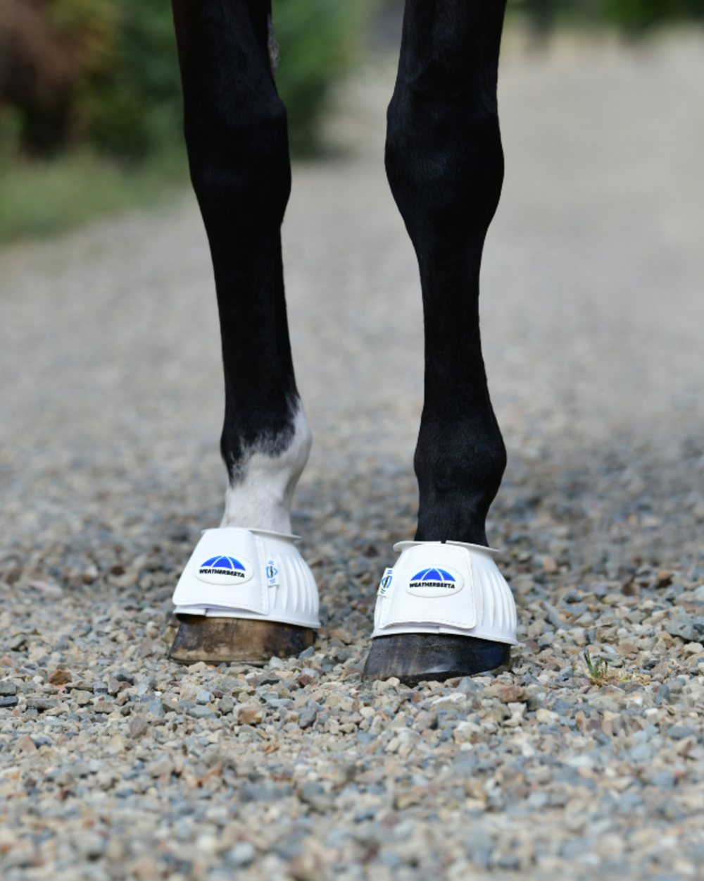 White Coloured WeatherBeeta Tough-Tec Prime Rubber Bell Boots on horse background 