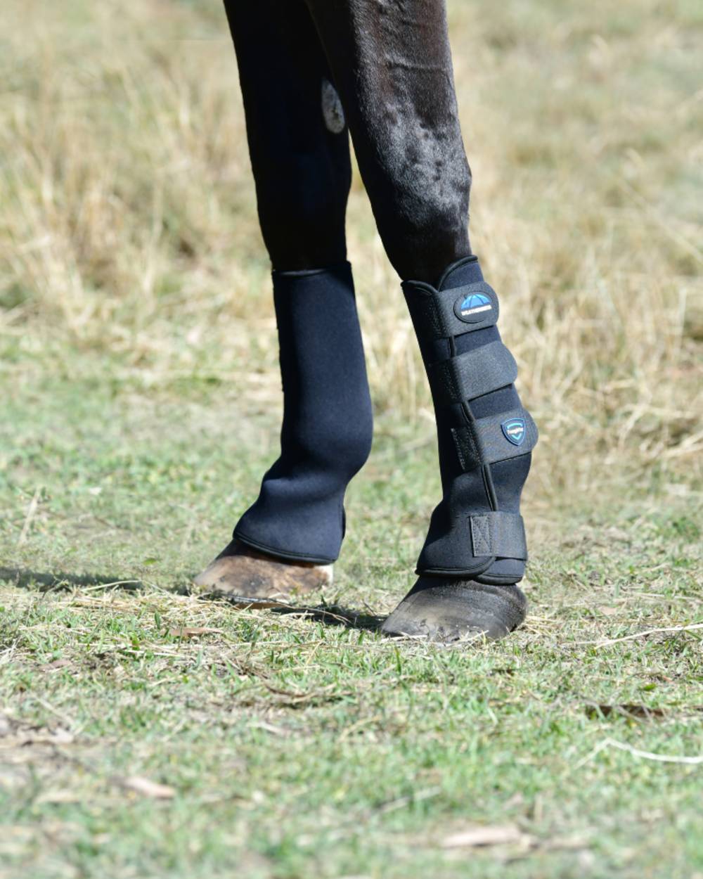 Black Blue Coloured WeatherBeeta Tough-Tec Turnout Boots on horse background 