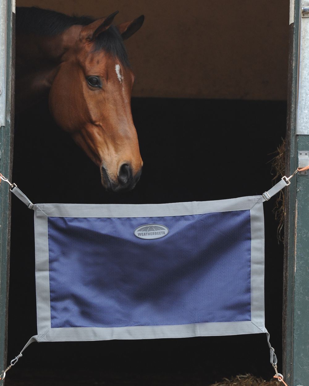 WeatherBeeta 1200D Stall Guard