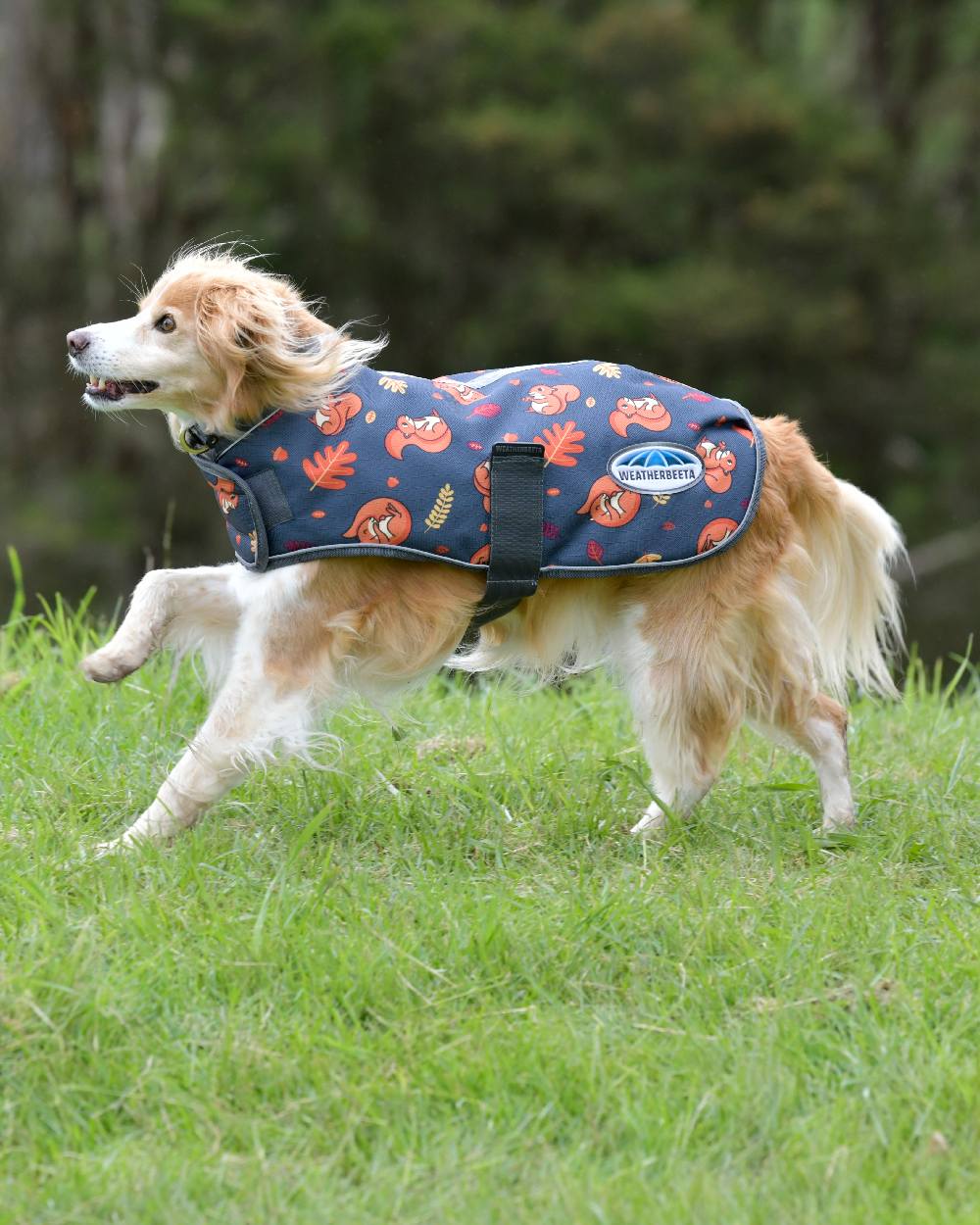 WeatherBeeta ComFiTec Premier Free Parka Dog Coat in Squirrel Print 