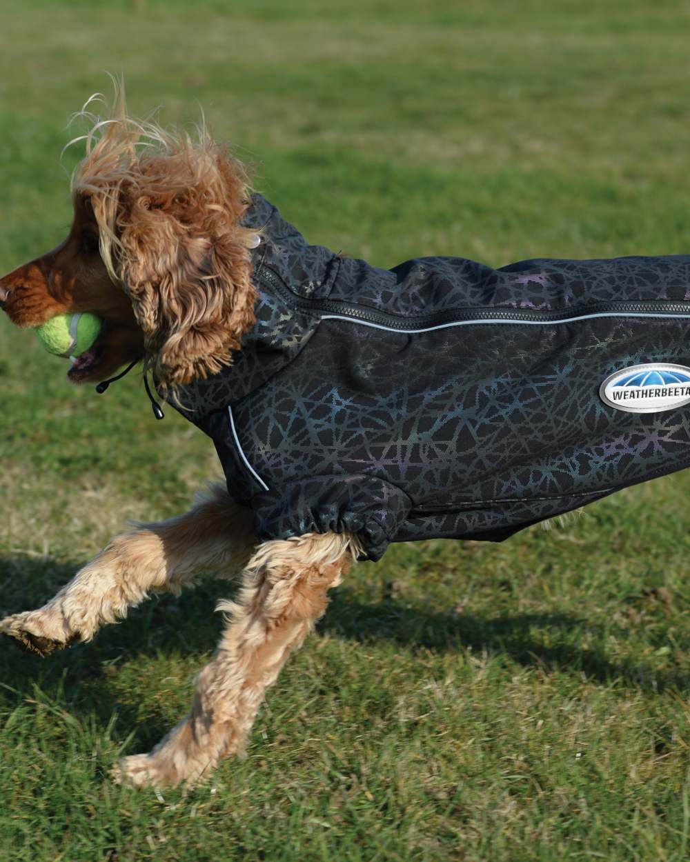 WeatherBeeta Comfitec Reflective Print Active Dog Coat in Black Reflective Rainbow