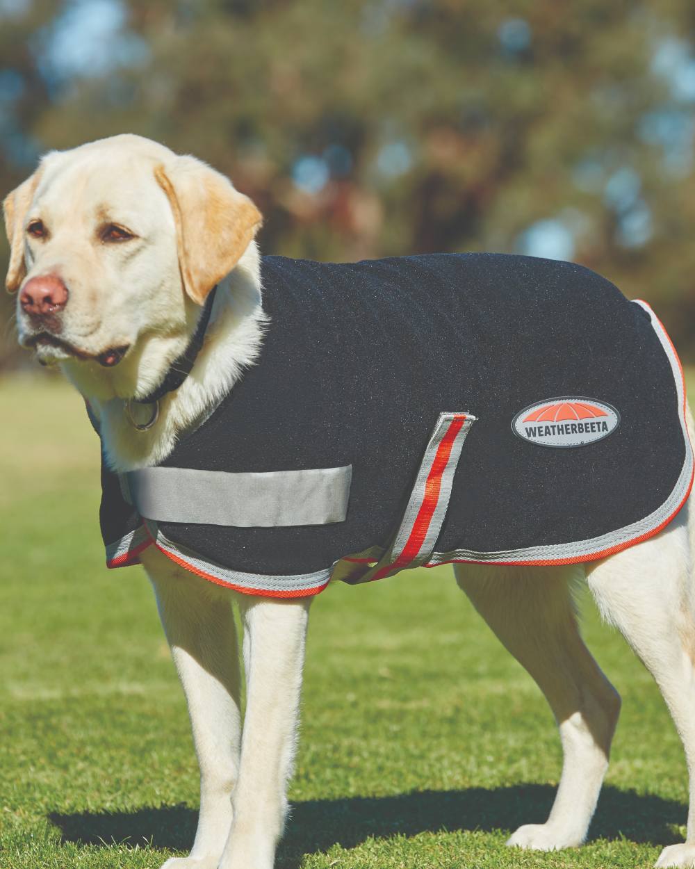WeatherBeeta ComfiTec Therapy-Tec Fleece Dog Coat in Black Silver Red
