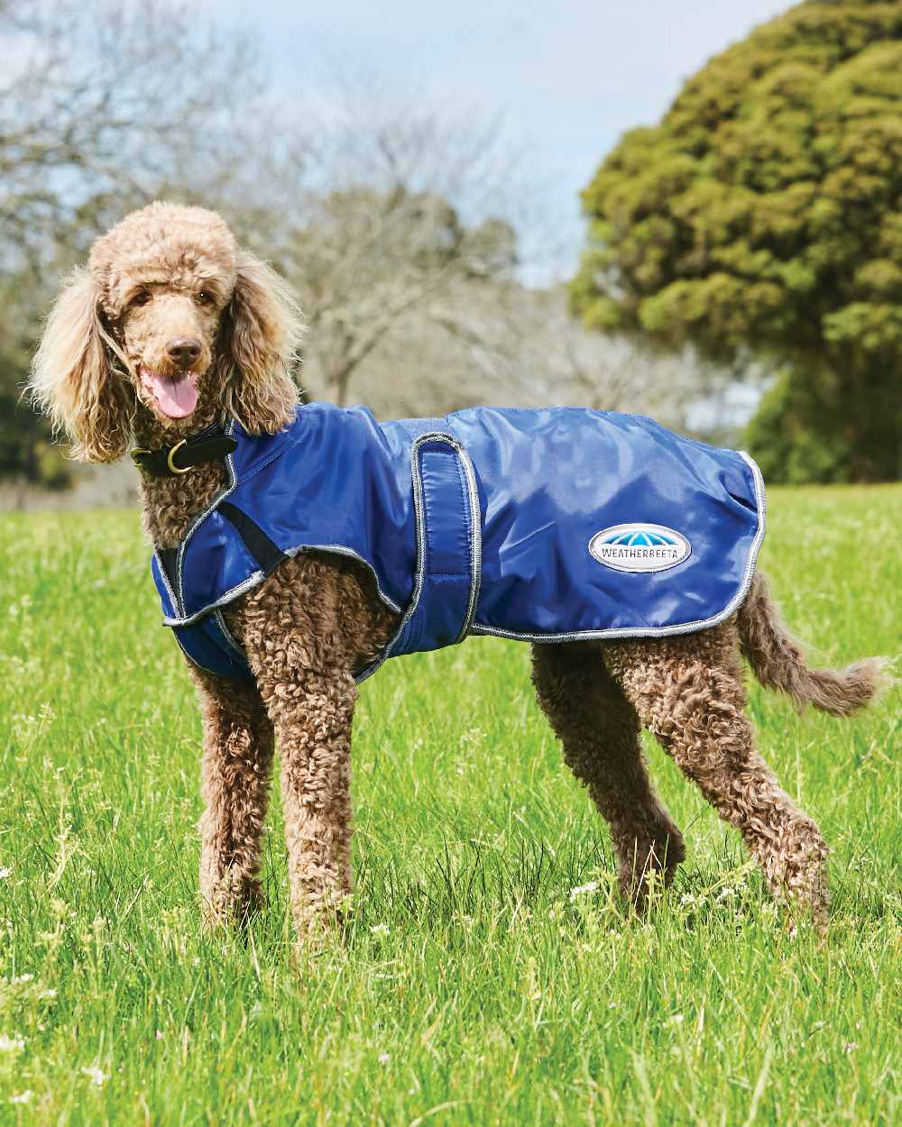 WeatherBeeta ComFiTec Windbreaker Free Deluxe Dog Coat in Blue/White/Grey 