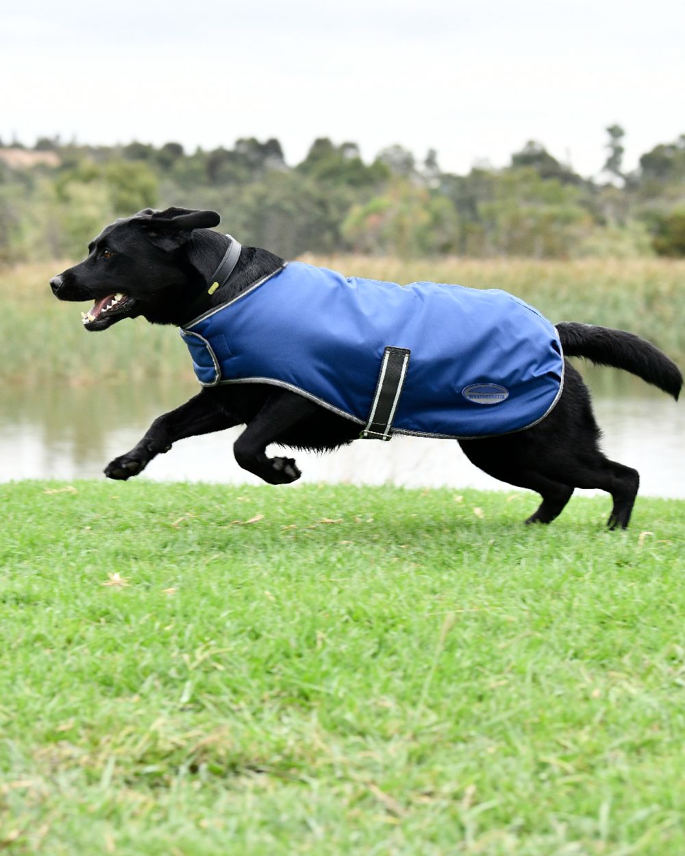 WeatherBeeta ComFiTec Windbreaker Free Dog Coat in Blue/White/Grey