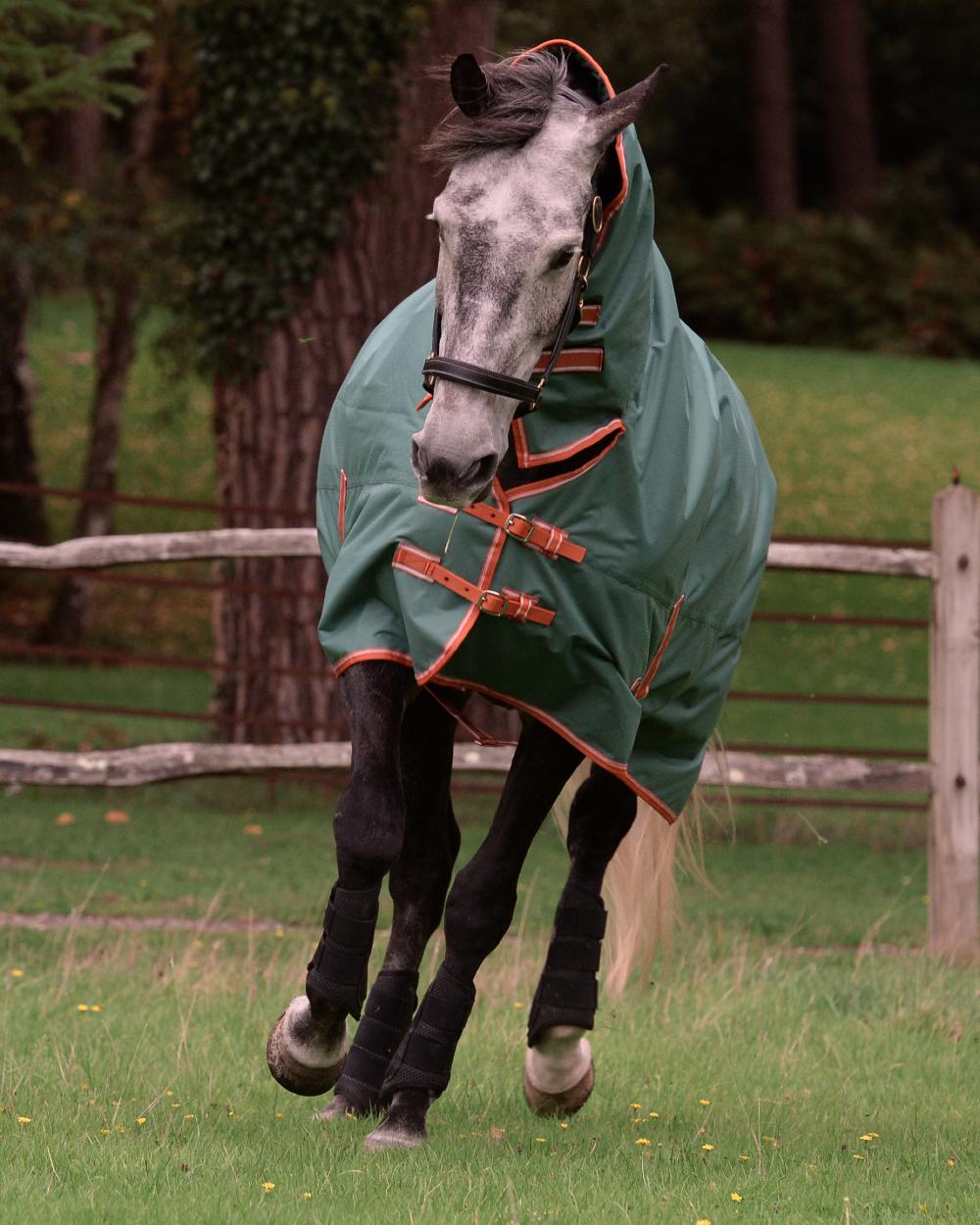 Green Burnt Orange White coloured WeatherBeeta ComFiTec Tyro Combo Neck Lite Plus on field background 