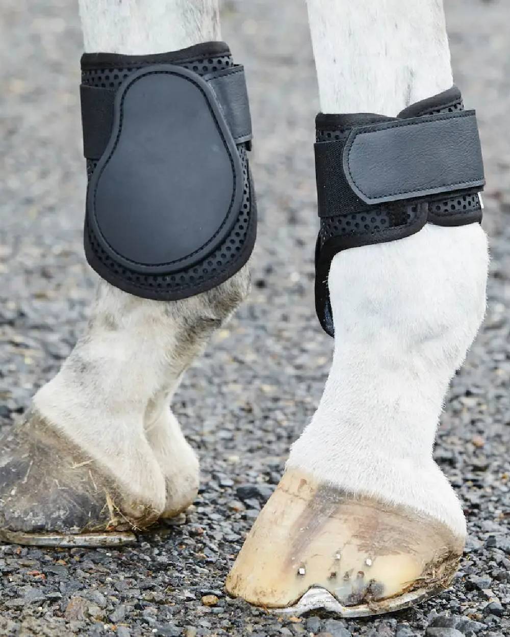 Black coloured Weatherbeeta Lite Fetlock Boots on grey background 