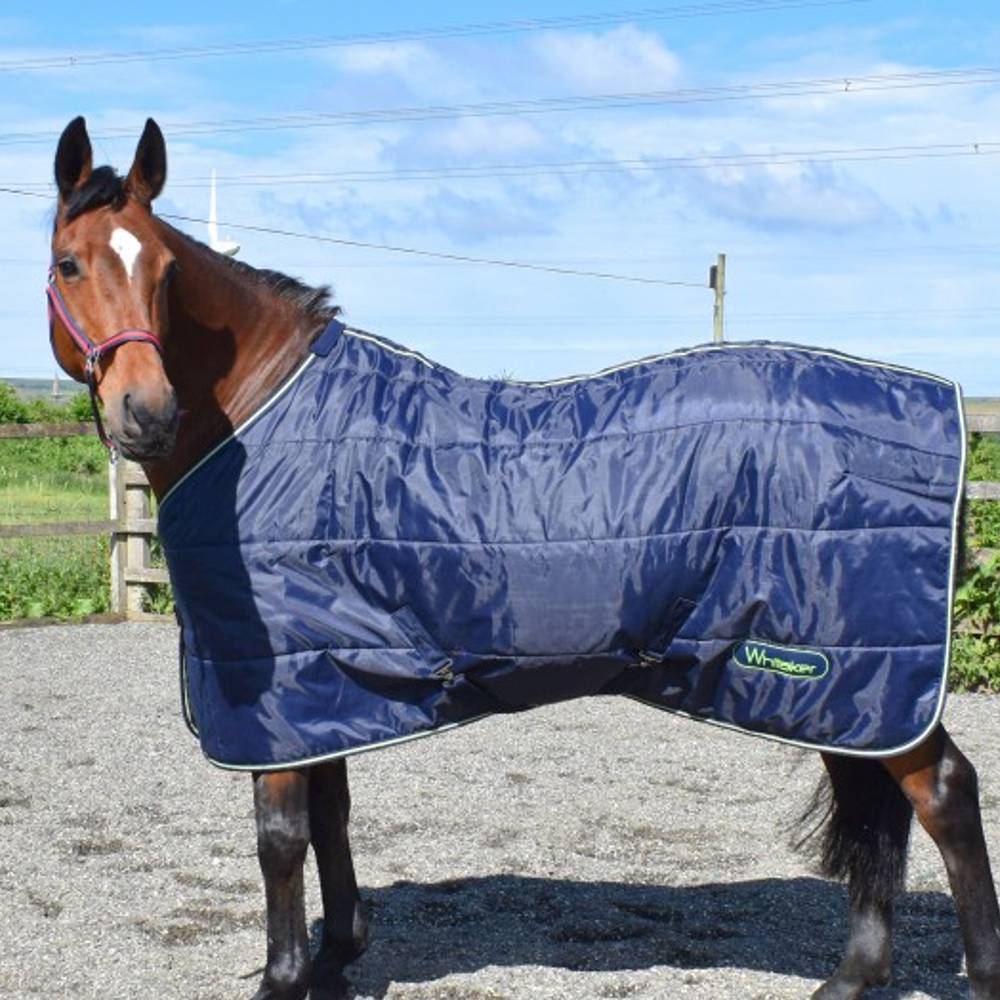 Whitaker Dunford Stable Rug 200g In Navy/Lime