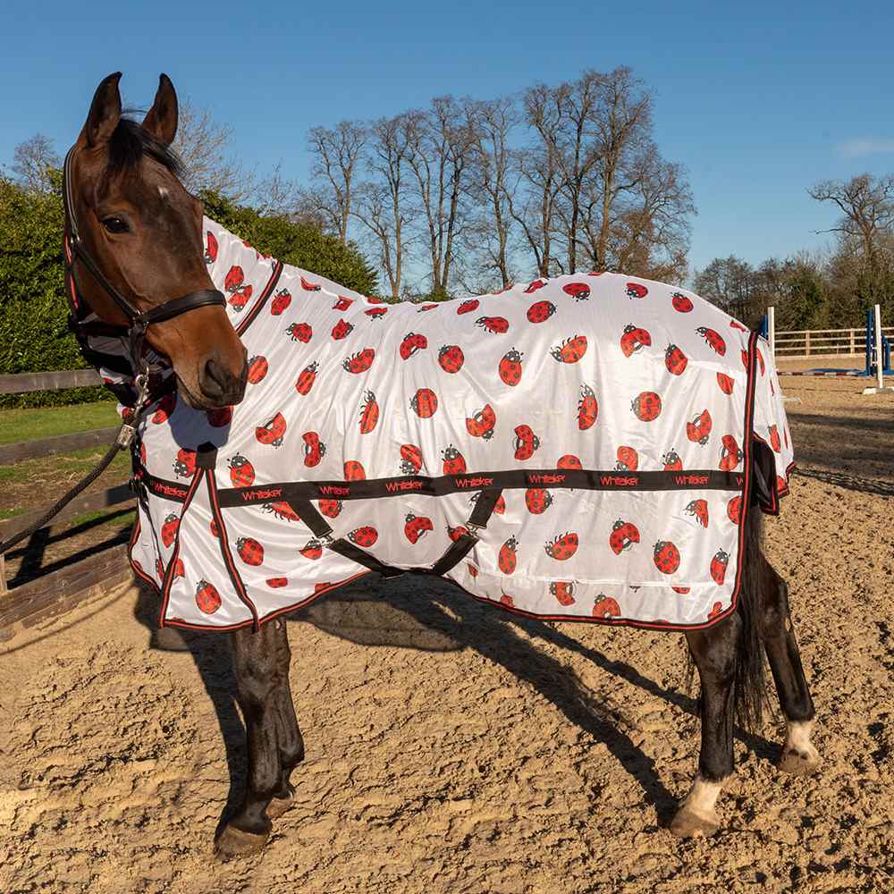 Whitaker Ladybird Fly Rug In White