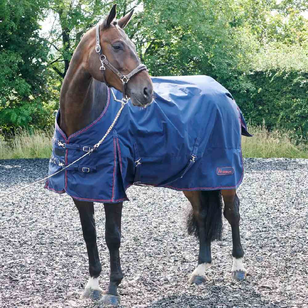 John Whitaker Rastrick 200 gm Turnout Rug in Navy