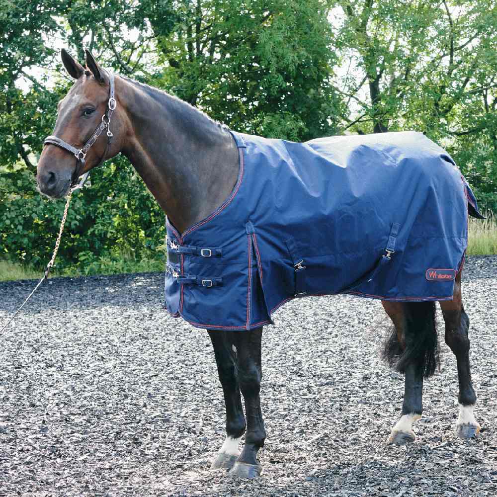 John Whitaker Rastrick 200 gm Turnout Rug in Navy