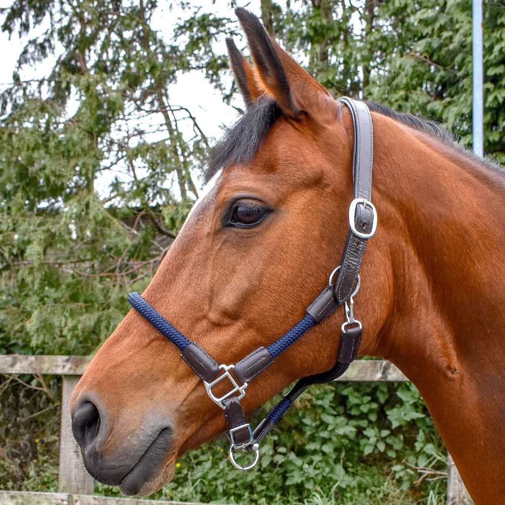 Whitaker Raywell Leather Rope Headcollar In Brown/Navy