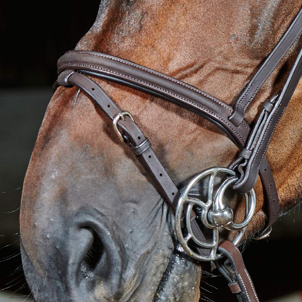 John Whitaker Ready To Ride Leather Flash Bridle in Brown