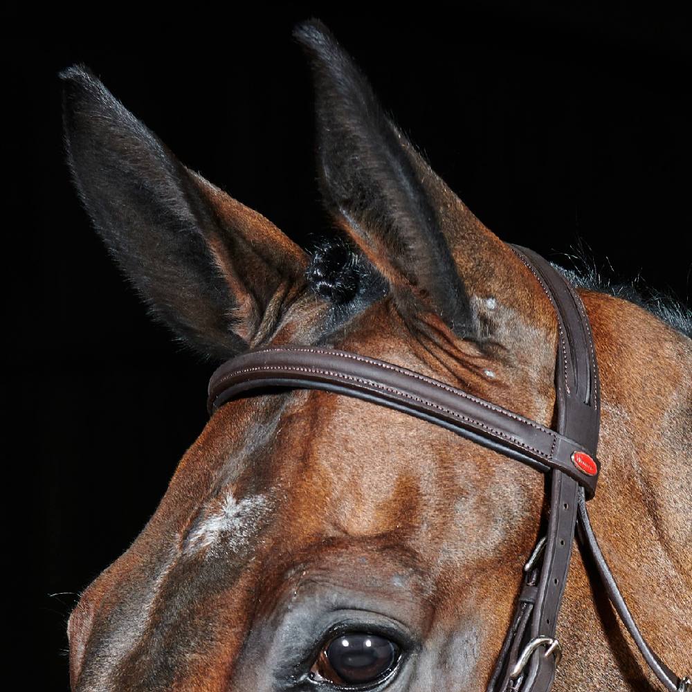 John Whitaker Ready To Ride Leather Flash Bridle in Brown