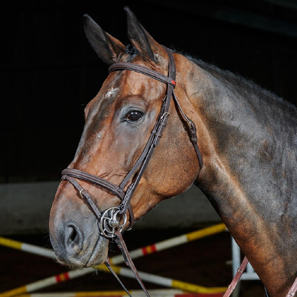 John Whitaker Ready To Ride Leather Flash Bridle in Brown