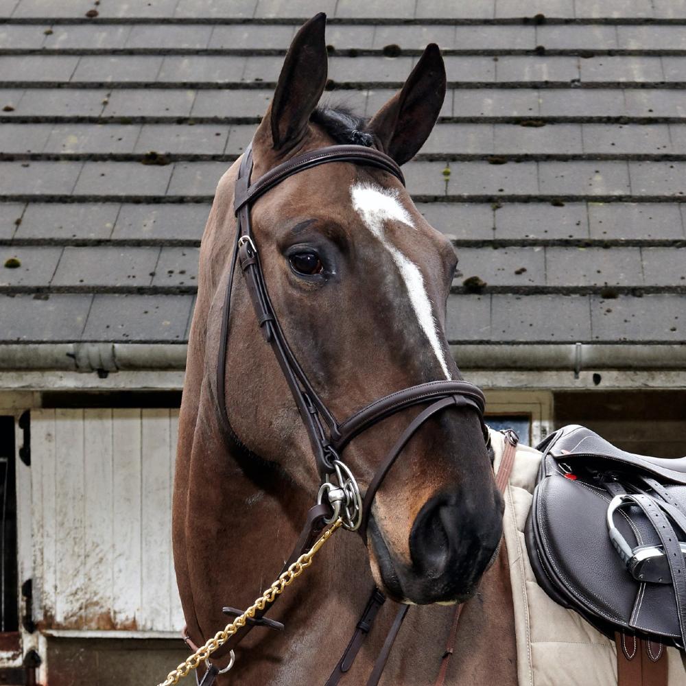 John Whitaker Ready To Ride Leather Flash Bridle in Brown